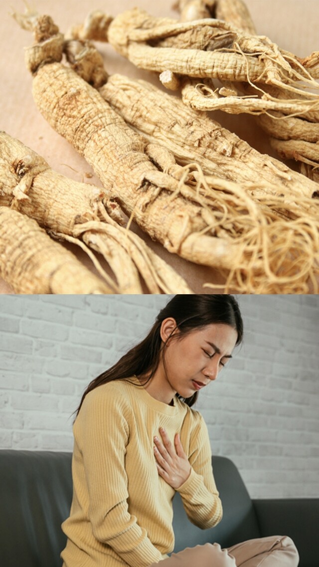 【人蔘功效及禁忌】甚麼人不能吃人蔘？中醫師講解人蔘好處及注意事項！