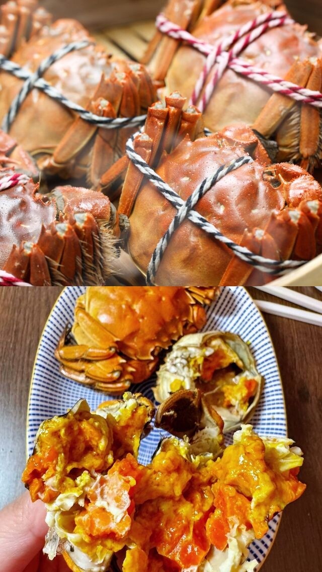 【大閘蟹2025】大閘蟹套餐推介！點分公乸/為什麼叫大閘蟹/揀蟹貼士/飲食禁忌