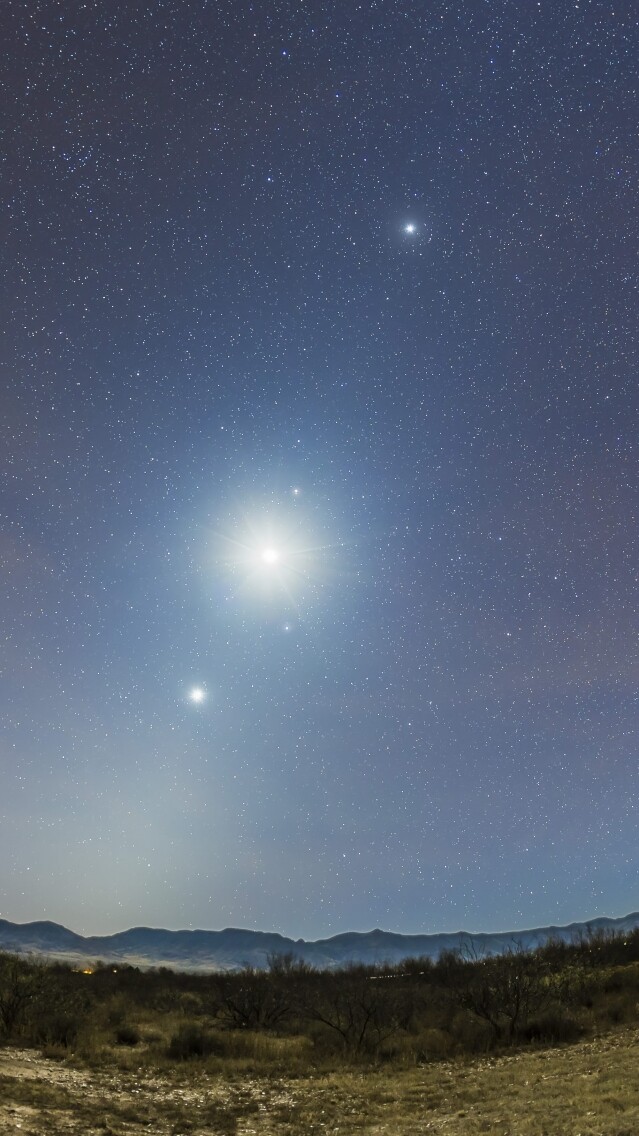 金星逆行