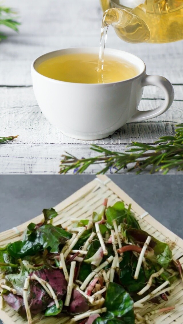 魚腥草茶食譜｜魚腥草怎麼煮？治感冒下火抗炎！中醫拆解魚腥草茶食譜貼士