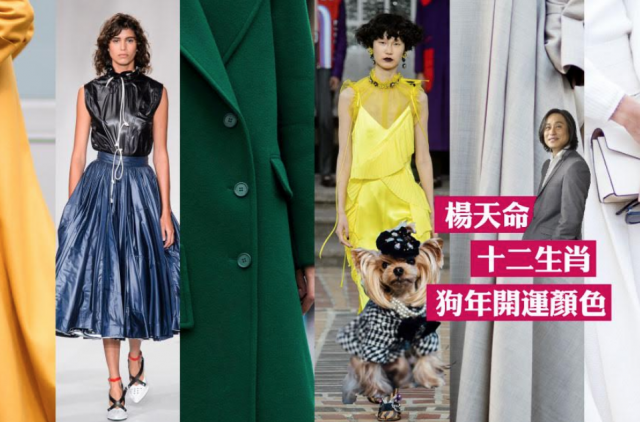 2018, 楊天命2018, 開運顏色, 狗年, 流年運程