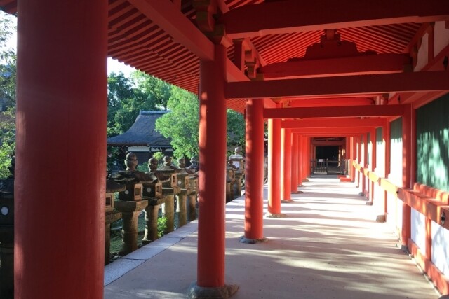 大阪奈良自由行5日4夜行程及住宿推介！餵小鹿、海遊館活動景點應有盡有