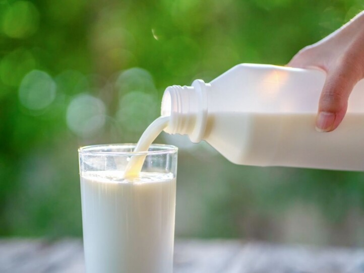 飲牛奶有什麼好處？飲牛奶會生暗瘡嗎？每日可以飲幾多