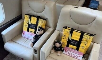 要價500萬、最高榮譽飛機餐！Blackpink私人專機內部公開