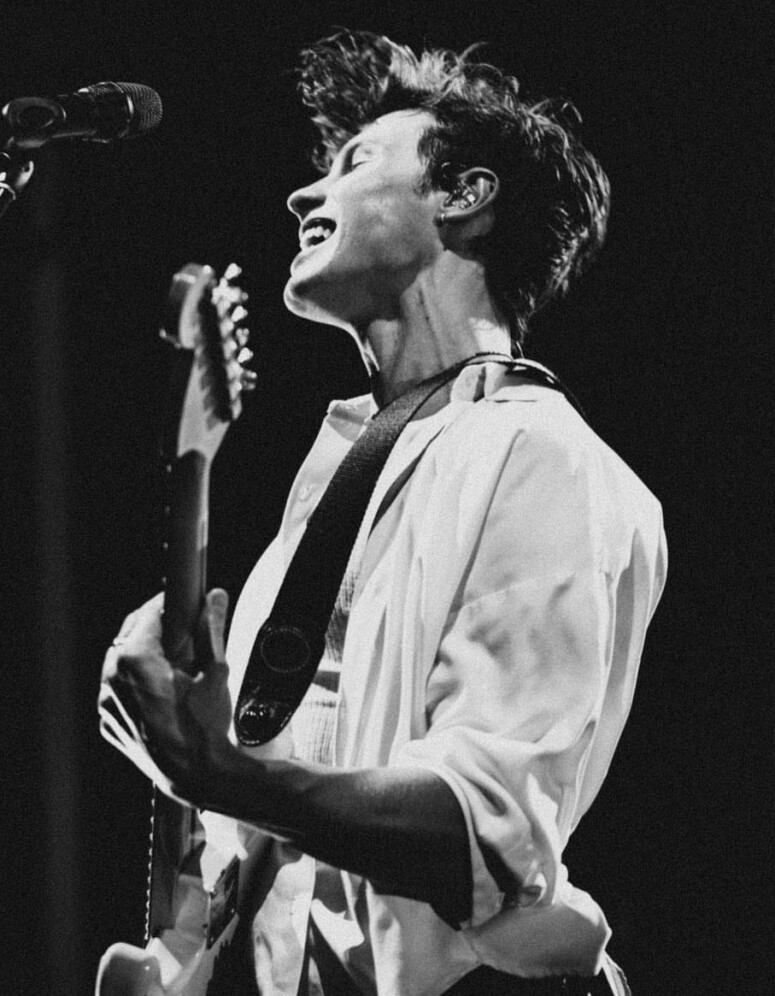 Shawn Mendes 聲演《紐約愛音鱷》鱷魚的趣怪事