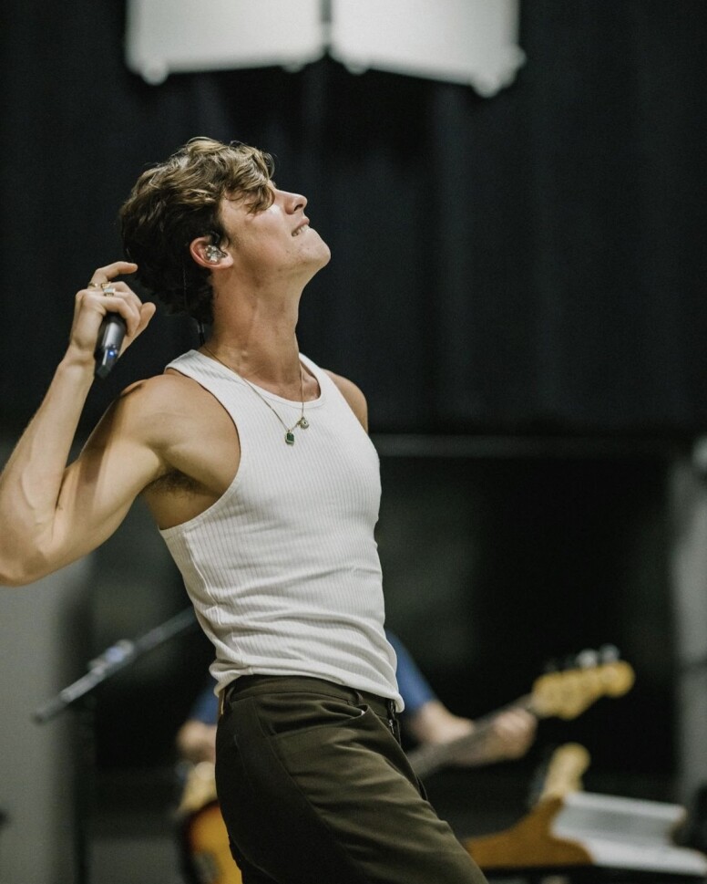 Shawn Mendes 聲演《紐約愛音鱷》鱷魚的趣怪事