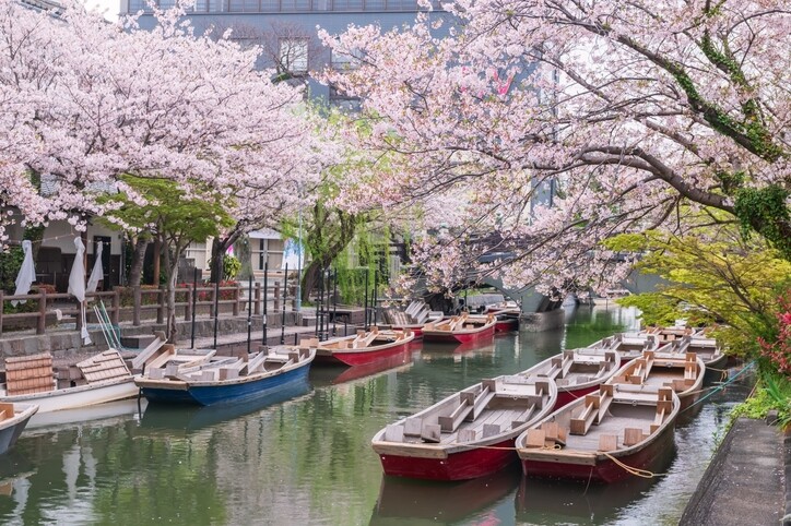 【旅居】適合女生旅居的城市