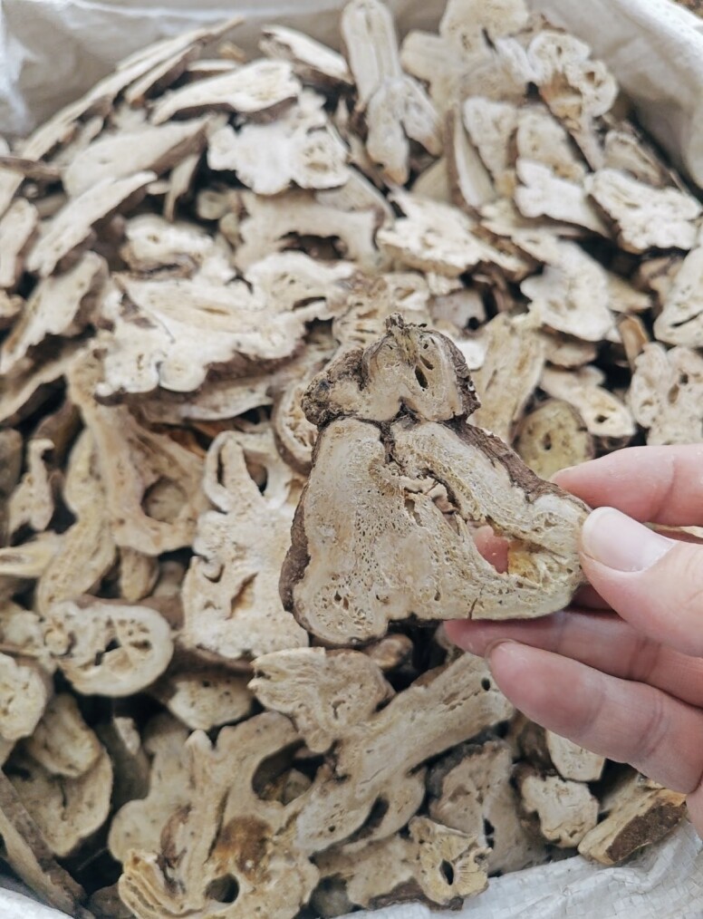 白术功效與禁忌！雲苓白朮扁豆衣茶食譜健脾益胃！什麼人不適合喝？