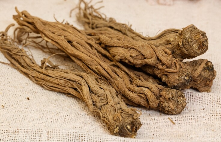 當歸功效與禁忌！秋冬當歸湯食譜補血調經抗炎！什麼人不能吃？