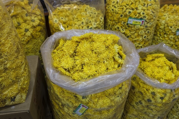 菊花茶功效與禁忌！菊花茶怎麼泡清熱解毒抗炎護眼！什麼時候喝最好？