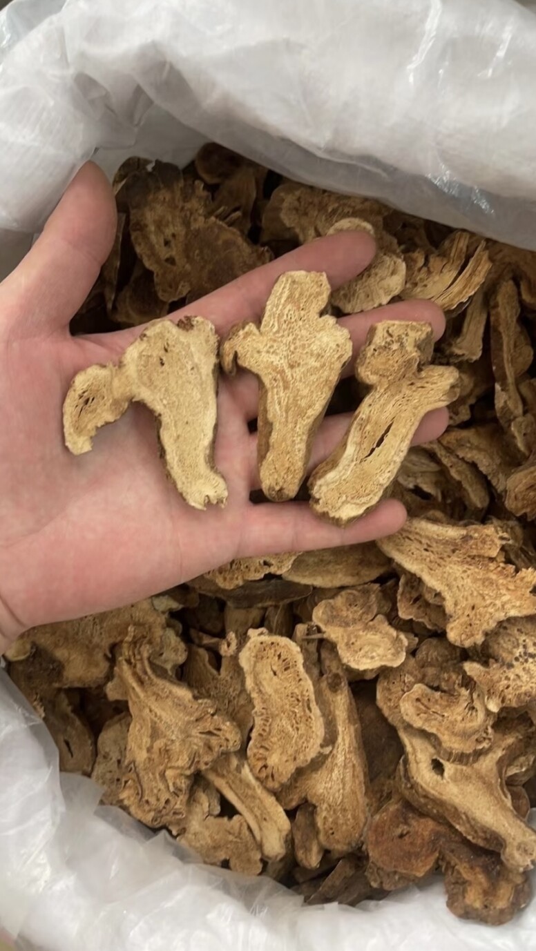 白术功效與禁忌！雲苓白朮扁豆衣茶食譜健脾益胃！什麼人不適合喝？