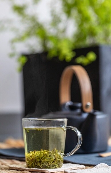 紅茶綠茶哪一個比較好？減肥飲紅茶可以嗎？烏龍茶是綠茶還是紅茶
