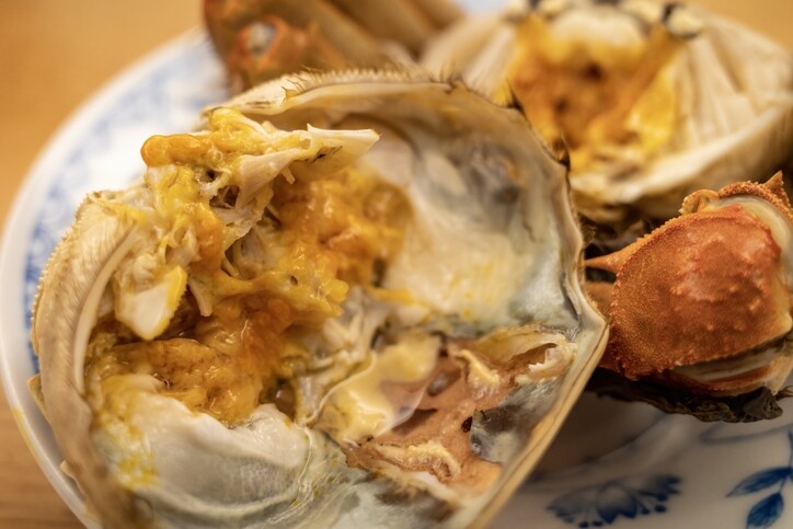 白术功效與禁忌！雲苓白朮扁豆衣茶食譜健脾益胃！什麼人不適合喝？