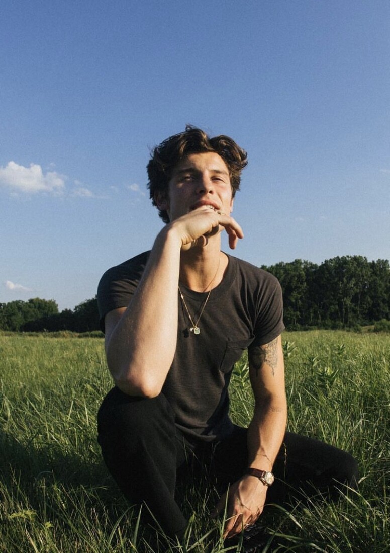 Shawn Mendes 聲演《紐約愛音鱷》鱷魚的趣怪事
