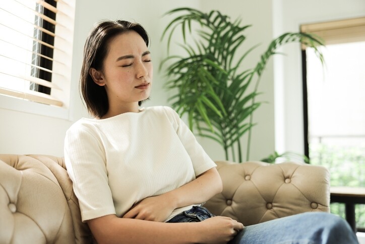白术功效與禁忌！雲苓白朮扁豆衣茶食譜健脾益胃！什麼人不適合喝？