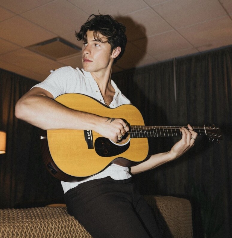Shawn Mendes 聲演《紐約愛音鱷》鱷魚的趣怪事