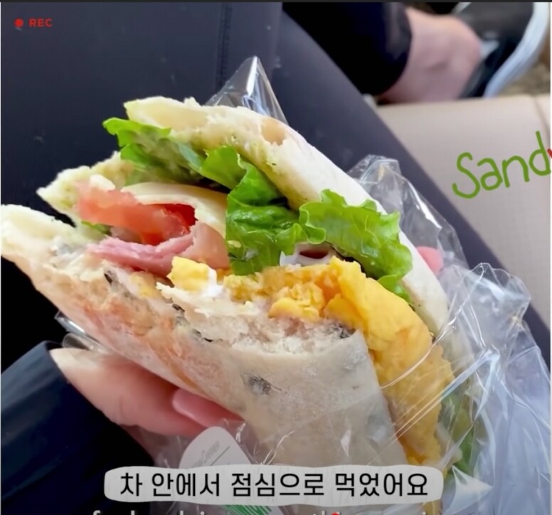 早餐：黑咖啡一杯、scone一個午餐：火腿三文治晚餐：一小塊雞胸肉