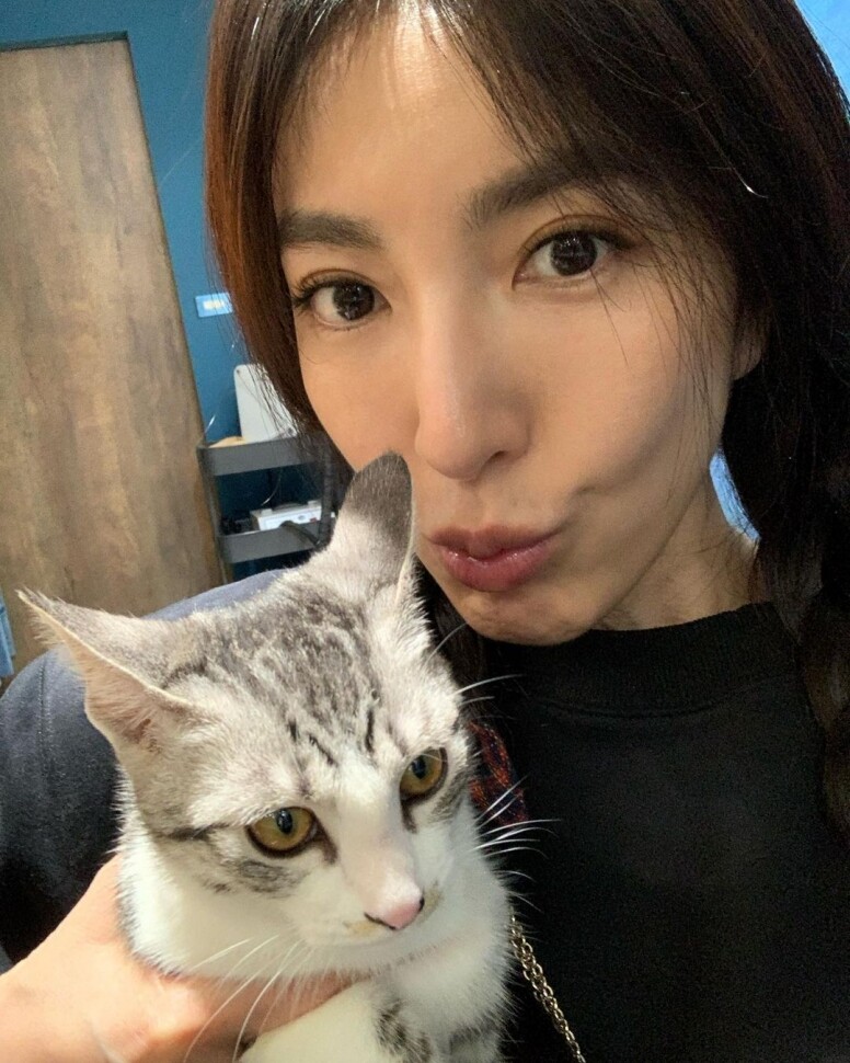 楊謹華家中飼養了一隻短毛貓及一隻折耳貓，雖然其中一隻已因病離世