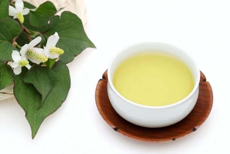 魚腥草功效包括清熱解毒、降火、抗炎、消腫排膿、利尿通淋(小便)、改善泌尿系 魚腥草功效包括清熱解毒、降火、抗炎、消腫排膿、利尿通淋(小便)、改善泌尿系