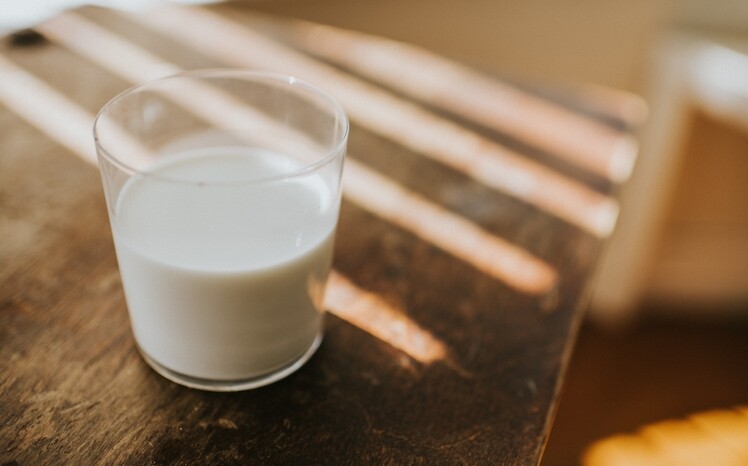材料：化妝棉或面膜紙、牛奶製法：將面膜紙或化妝棉完全浸在牛奶，之後直