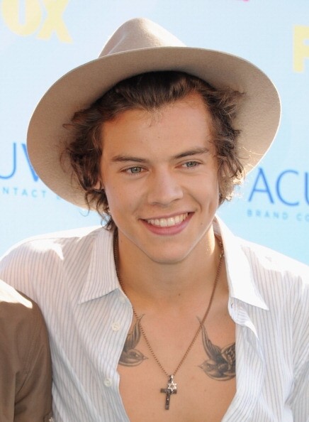 Zac Efron, 乳頭, Harry Styles, 荷里活