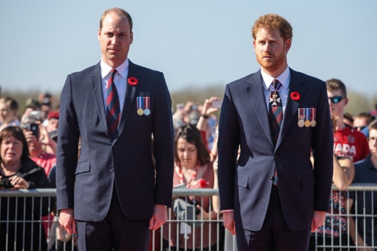 英國皇室, 身價, 威廉王子, 哈里王子, Prince William, Prince Harry