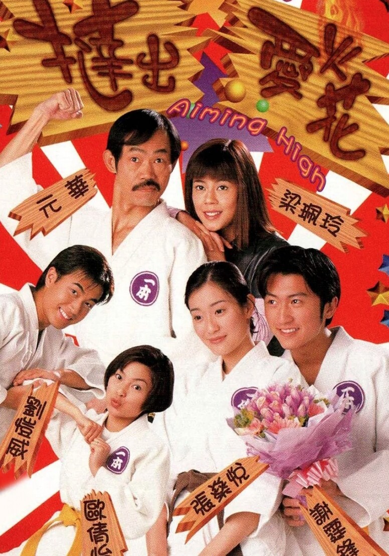 《撻出愛火花》，以柔道為主題，賣點就是謝霆鋒首部及唯一一部於TVB主演的