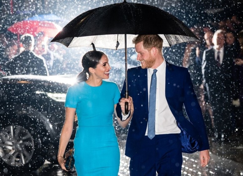 另外，Meghan 與哈里亦宣佈將創立非營利慈善組織「Archewell」