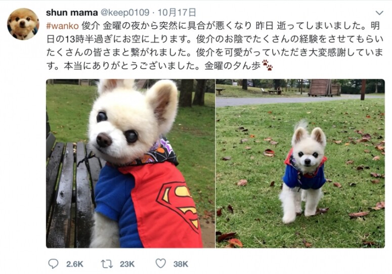 image with no details