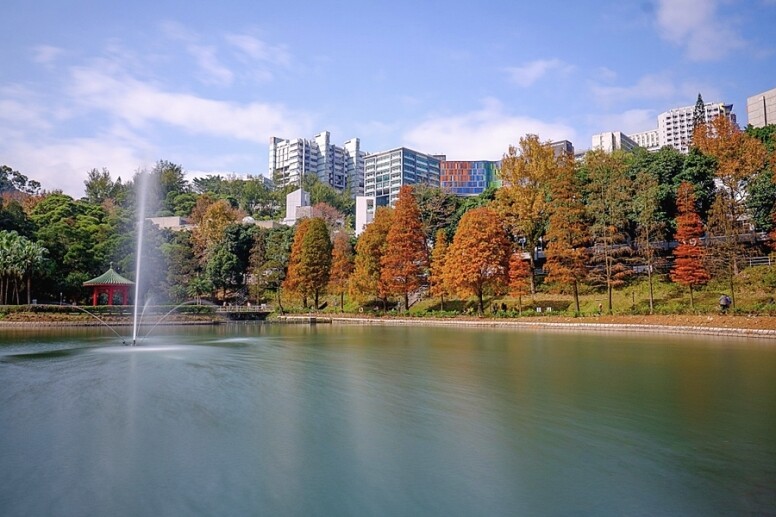 香港 紅葉 打卡 好去處 中文大學 未圓湖