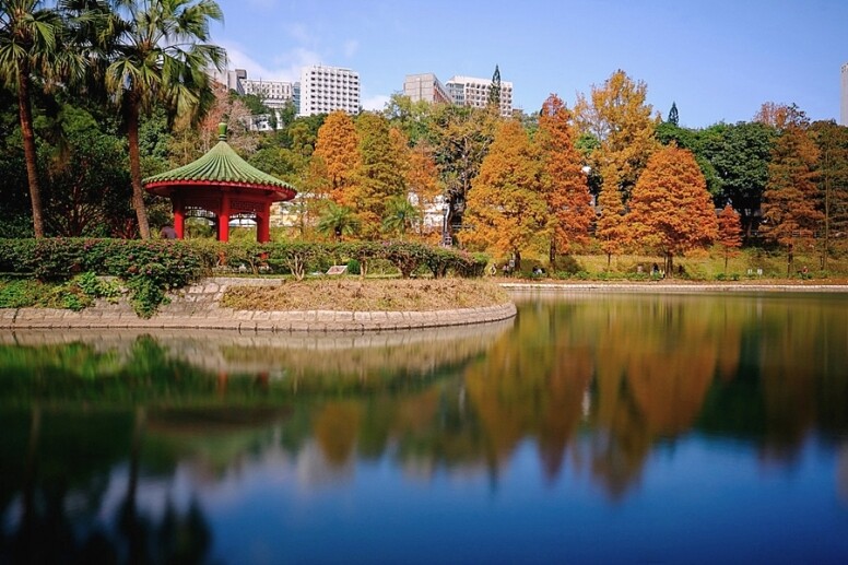 香港 紅葉 打卡 好去處 中文大學 未圓湖