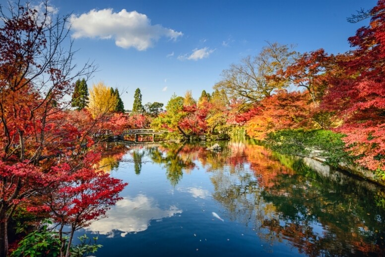 東京-六義園