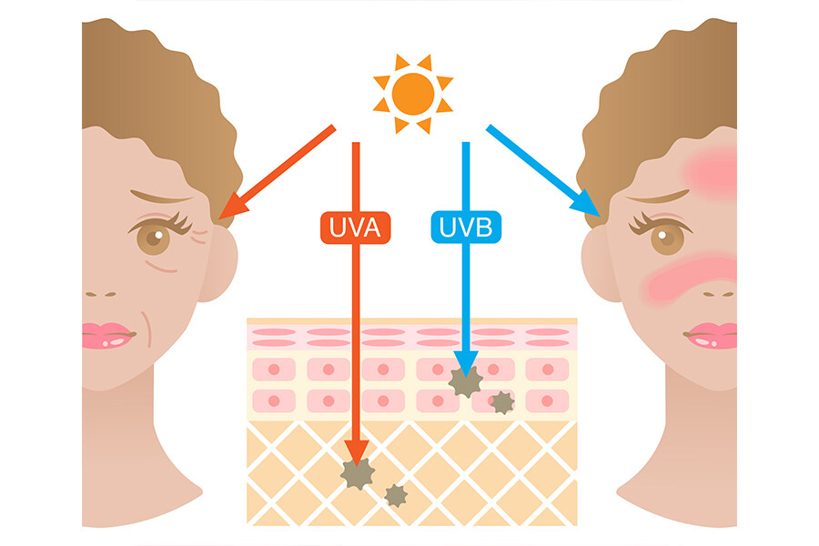 Защищаемые лица. Инфографика кожа человека. Разница между UVB И UVA. Инфографика клипарт кожа. Упругая кожа инфограмма вектор.