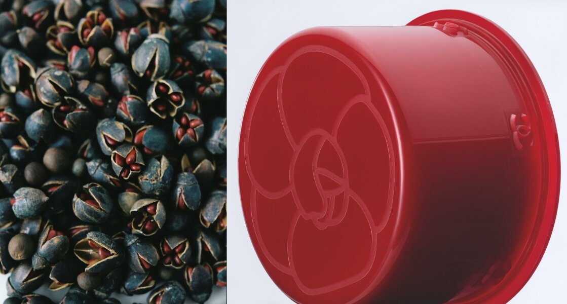 不得不提，山茶花種子殼亦被善用於製造乳霜瓶蓋，成為循環可回收物料